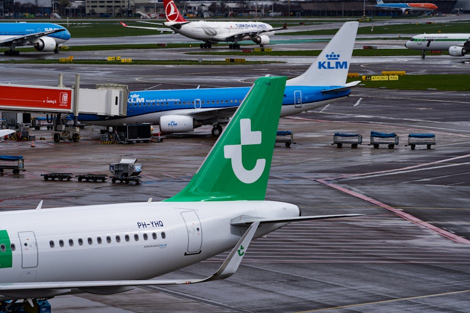 Data-Driven Strategies for Securing Cheap Flights to Amsterdam in 2025 and 2026