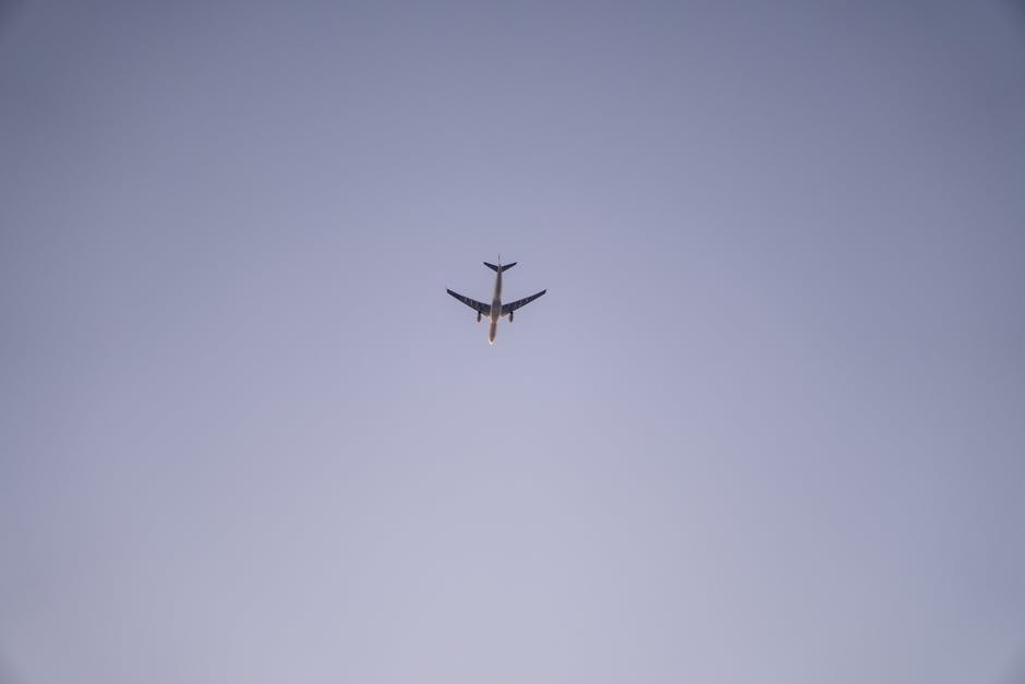 A passenger airplane flying high above, captured against a clear blue sky, showcasing aviation beauty.