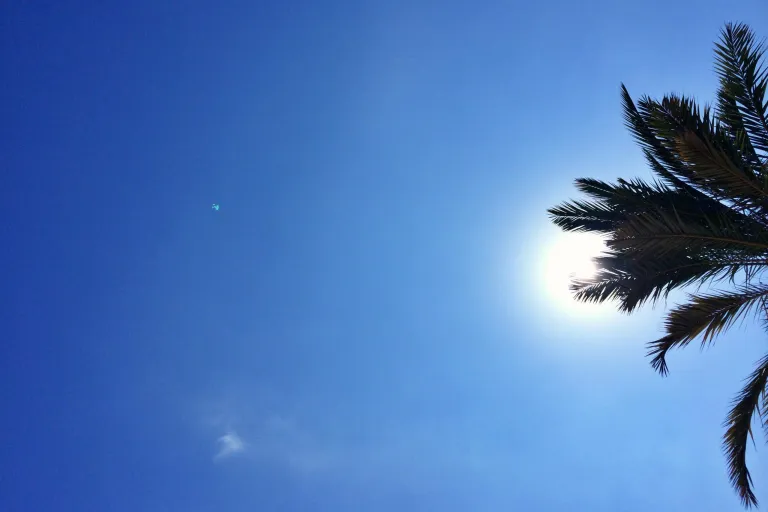 Top Things to Do in Puerto de la Cruz, Tenerife