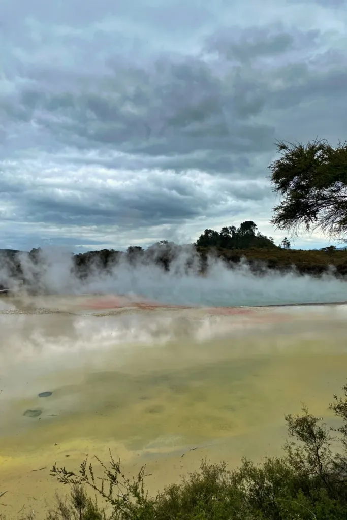 Weekend in Rotorua: Explore New Zealand’s Geothermal Wonderland
